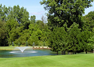 Michigan Golf Outing Hills Heart O the Lakes Brooklyn Michigan