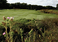Michigan Golf Outing Lakewood Shores Golf Resort